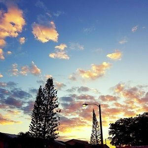 Meet your Posher, Danay